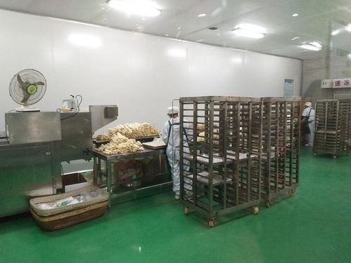 亲子游学乐趣多 石家庄绿杰食品厂探秘记，从面粉到馒头的奇妙旅程